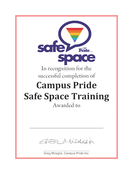 Online Safe Space Training