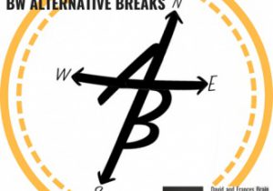 BW Alternative Breaks